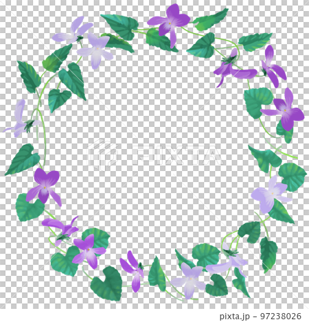 Violet flower circle frame vector illustration watercolor style Violet flower circle frame vector illustration watercolor style 97238026