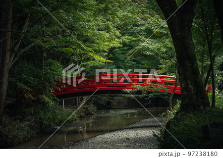 小国神社と赤い橋 小国神社と赤い橋 97238180