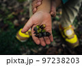 息子と秋を探しに 97238203