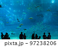 大きな水槽を眺める人影 97238206