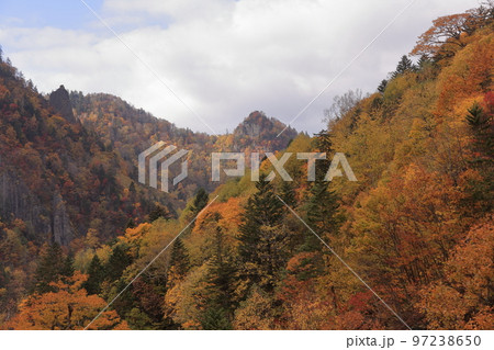 豊平峡の紅葉 97238650