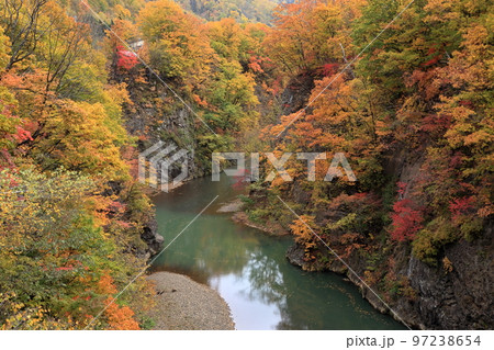 定山渓の紅葉 97238654