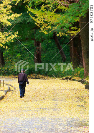 年金暮らし 97238705