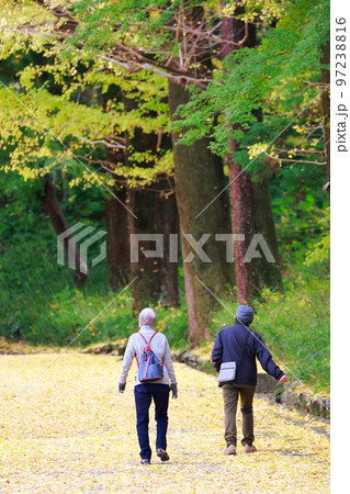 高齢者の夫婦が散歩する 高齢者の夫婦が散歩する 97238816