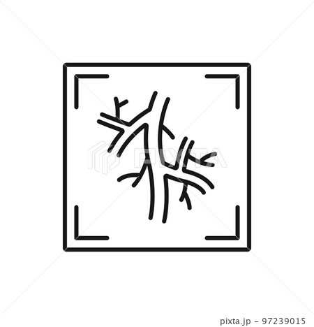 Computed tomography angiogram isolated CT test outline icon. Vector X-rays of blood vessels that go to heart, lung or brain, head or neck Computed tomography angiogram isolated CT test outline icon. Vector X-rays of blood vessels that go to heart, lung or brain, head or neck 97239015