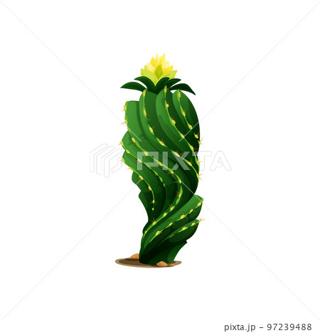 Green mexican desert cactus isolated Cinco de mayo holiday decoration, cartoon prickly succulent cactus plant. Vector scandinavian or indian cacti, western opuntia tropical cactus with yellow flower 97239488