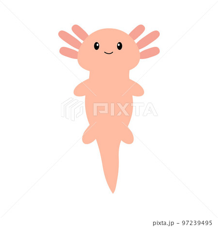 Cute cartoon axolotl. Vector illustration.	 97239495