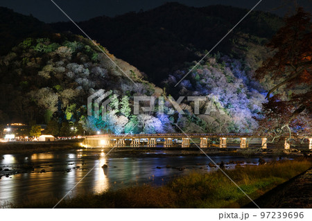 嵐山花灯路 97239696