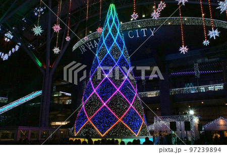 福岡県福岡市、博多駅前クリスマスマーケットのイルミネーションとクリスマスツリー_7 福岡県福岡市、博多駅前クリスマスマーケットのイルミネーションとクリスマスツリー_7 97239894