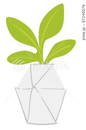 Houseplant in modern pot, decorative minimalist flora for interior Houseplant in modern pot, decorative minimalist flora for interior 97240076