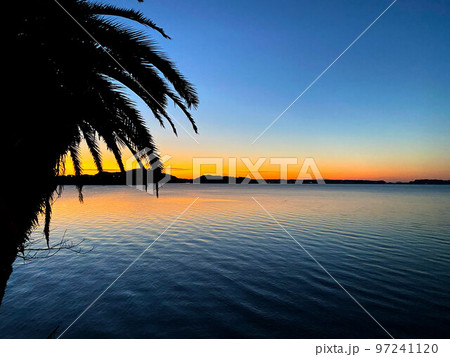 オレンジに光る明け方の浜名湖と椰子 97241120