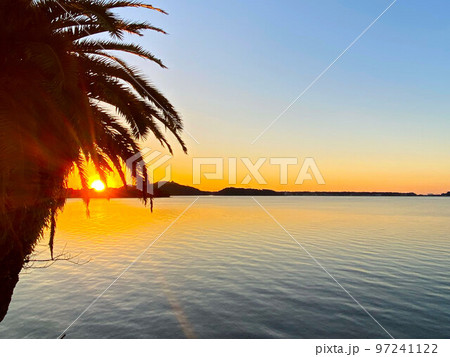 椰子の隙間からのぼる太陽と浜名湖  97241122