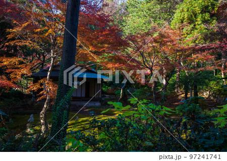 秋の東京　紅葉の旧古河庭園　茶室 97241741