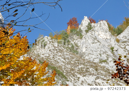 Mountain autumn landscape with colorful forest 97242373