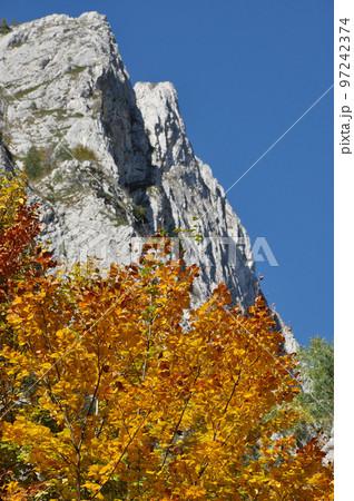 Mountain autumn landscape with colorful forest 97242374