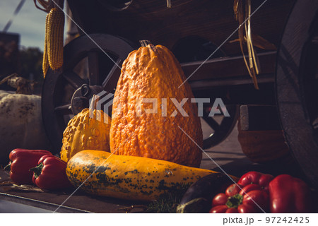 Vintage cart full with freshly picked vegetables 97242425
