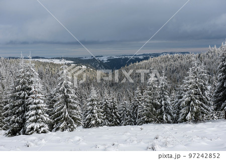 Magic winter holiday concept 97242852