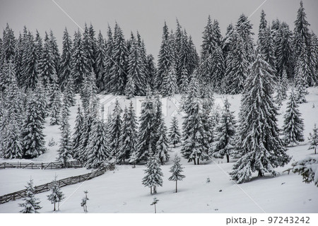 Winter landscape with snow on trees 97243242