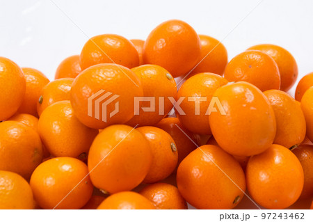 きんかん　白背景 97243462
