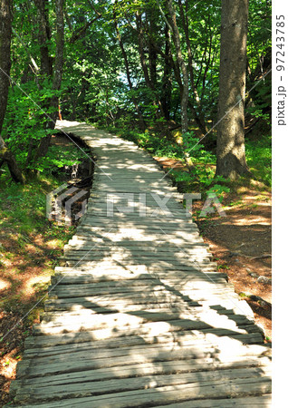 Wooden Bridge over a Pond in Plitvice National Park 97243785
