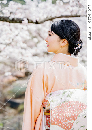 満開の桜と着物姿の女性　桜　春 97244075