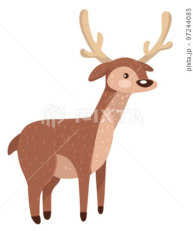 Deer animal with horns, stag or elk wildlife 97244085