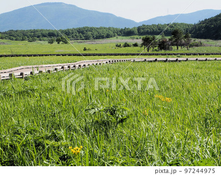 タデ原湿原とくじゅう連山　大分県玖珠郡九重町田野 97244975