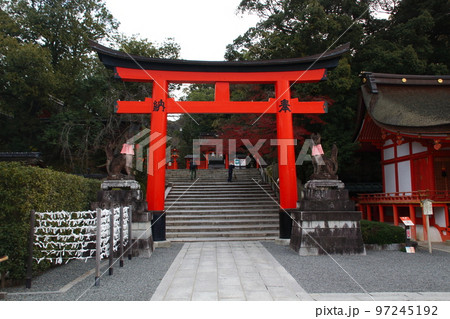 秋の伏見稲荷大社にて（本殿→玉山稲荷神社） 97245192