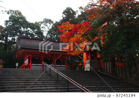 秋の伏見稲荷大社にて(玉山稲荷神社→千本鳥居) 秋の伏見稲荷大社にて(玉山稲荷神社→千本鳥居) 97245194