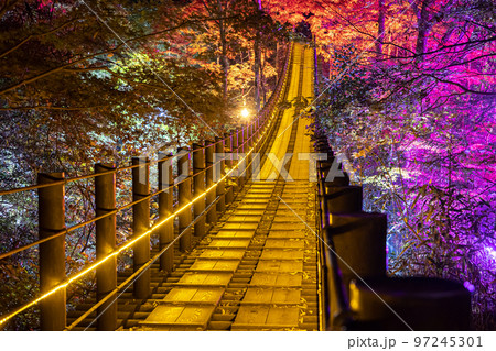 秋の花貫渓谷　紅葉ライトアップ 97245301