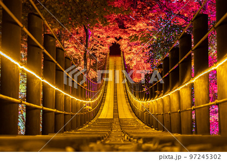 秋の花貫渓谷　紅葉ライトアップ 97245302
