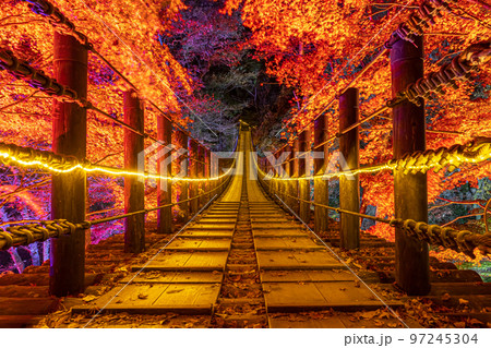 秋の花貫渓谷 紅葉ライトアップ 秋の花貫渓谷 紅葉ライトアップ 97245304