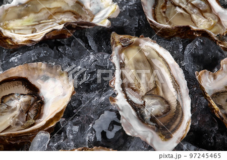 Fresh opened oysters in ice on a black stone textured background. Top view. Close-up shot. Fresh opened oysters in ice on a black stone textured background. Top view. Close-up shot. 97245465