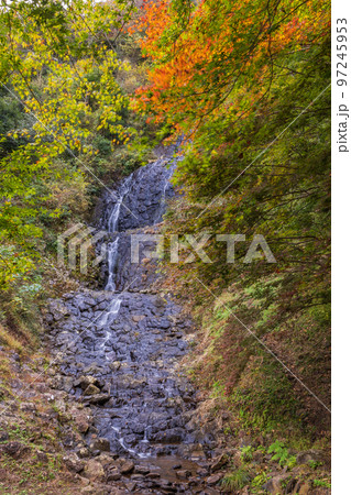 (静岡県)伊豆市 旭滝 紅葉 (静岡県)伊豆市 旭滝 紅葉 97245953