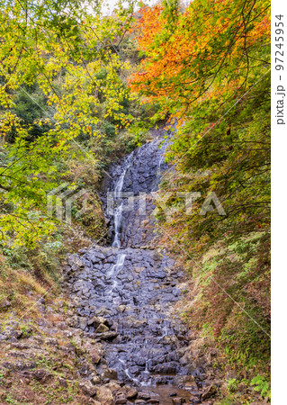 （静岡県）伊豆市　旭滝　紅葉 97245954