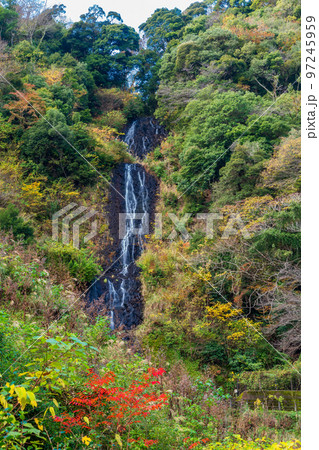 （静岡県）伊豆市　旭滝　紅葉 97245959