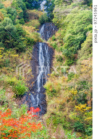(静岡県)伊豆市 旭滝 紅葉 (静岡県)伊豆市 旭滝 紅葉 97245961