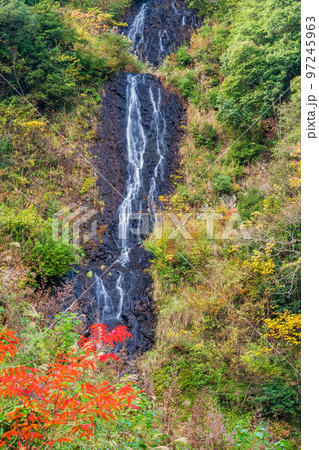 （静岡県）伊豆市　旭滝　紅葉 97245963