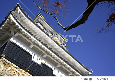 晩秋の岐阜城天守閣 97246411