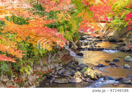 （静岡県）修善寺温泉　桂川の紅葉 97246586