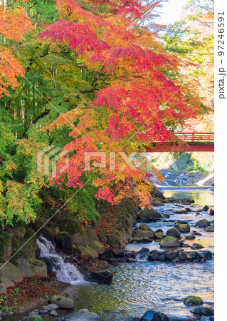 (静岡県)修善寺温泉 桂川の紅葉 (静岡県)修善寺温泉 桂川の紅葉 97246591