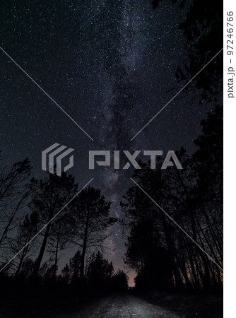 Milky way over the track surrounded by trees 97246766