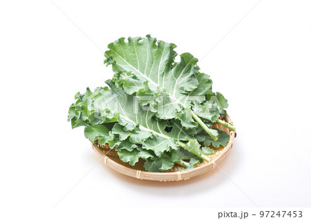 プチヴェール　緑黄色野菜　葉物野菜　穫れたて野菜　健康野菜　新しい野菜 97247453