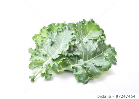 プチヴェール　緑黄色野菜　葉物野菜　穫れたて野菜　健康野菜　新しい野菜 97247454