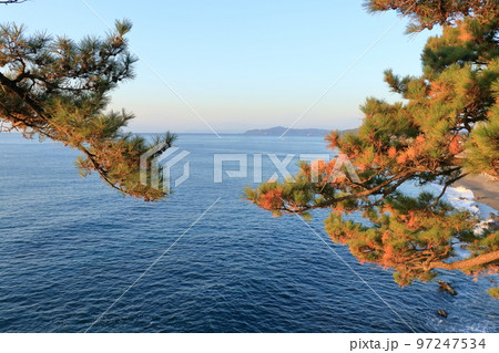 竜王岬展望台から太平洋を望む　冬　（高知県　高知市　桂浜） 97247534