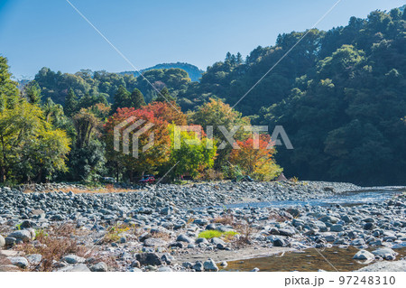 【オートキャンプ場沿いの道志川と紅葉】 【オートキャンプ場沿いの道志川と紅葉】 97248310