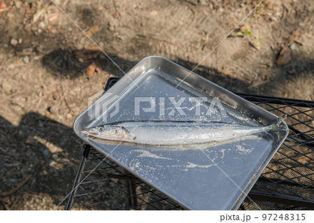 【オートキャンプ場で秋刀魚の塩焼きを作る】 97248315