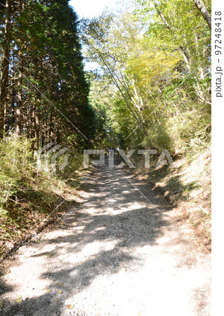 木々に囲まれた山道 木々に囲まれた山道 97248418