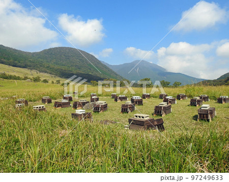 大分県由布市の人気スポット由布岳登山口とハチの巣箱 97249633