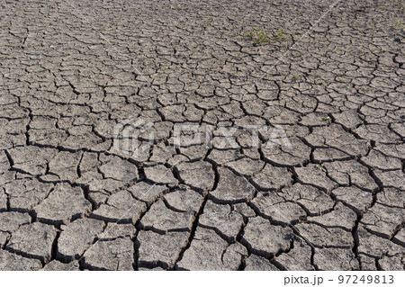 The concept of environmental restoration The growth of seedlings on cracked soil, cracked soil in the dry season affected by global warming causes climate change, water shortages The concept of environmental restoration The growth of seedlings on cracked soil, cracked soil in the dry season affected by global warming causes climate change, water shortages 97249813